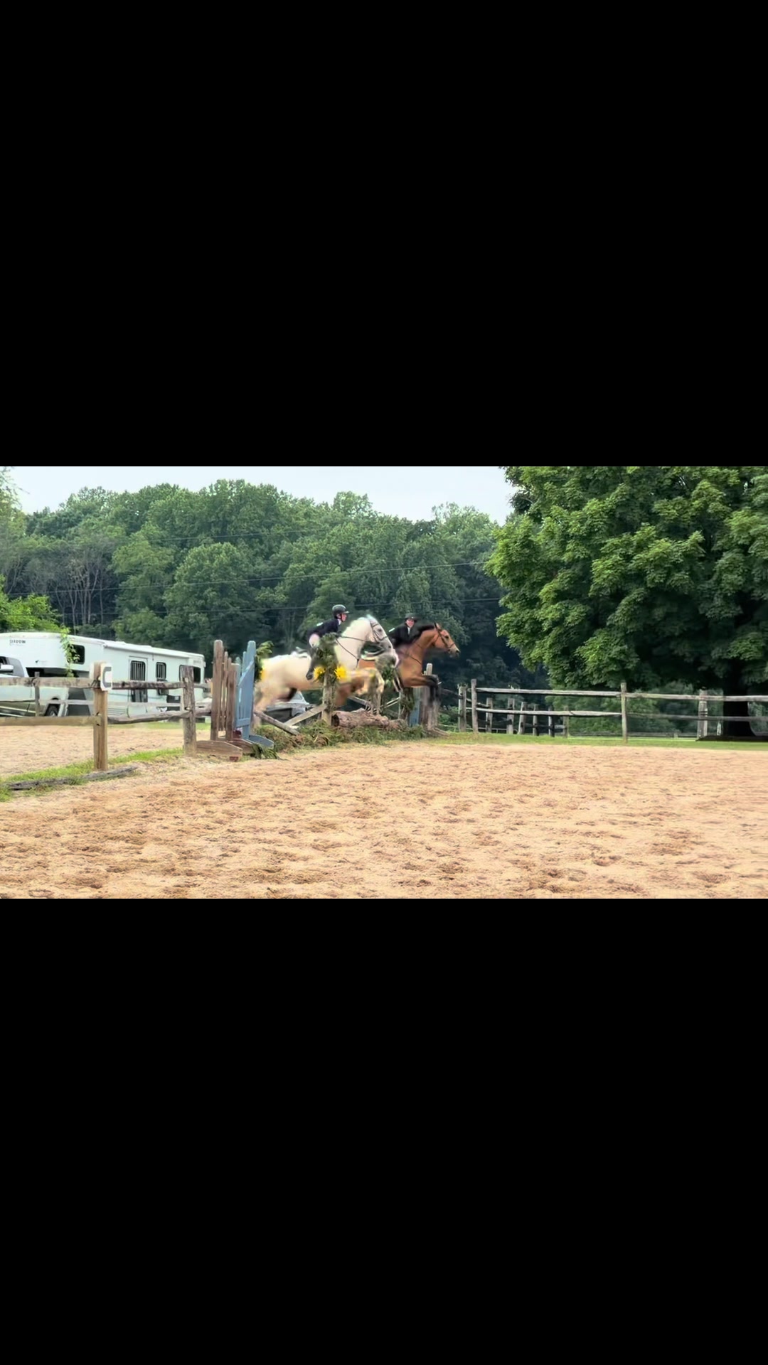 @Aftyn 🐎