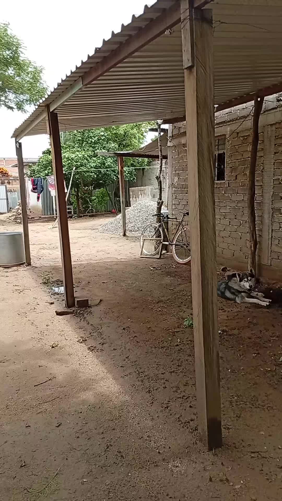 @Juan Carlos Guatemala