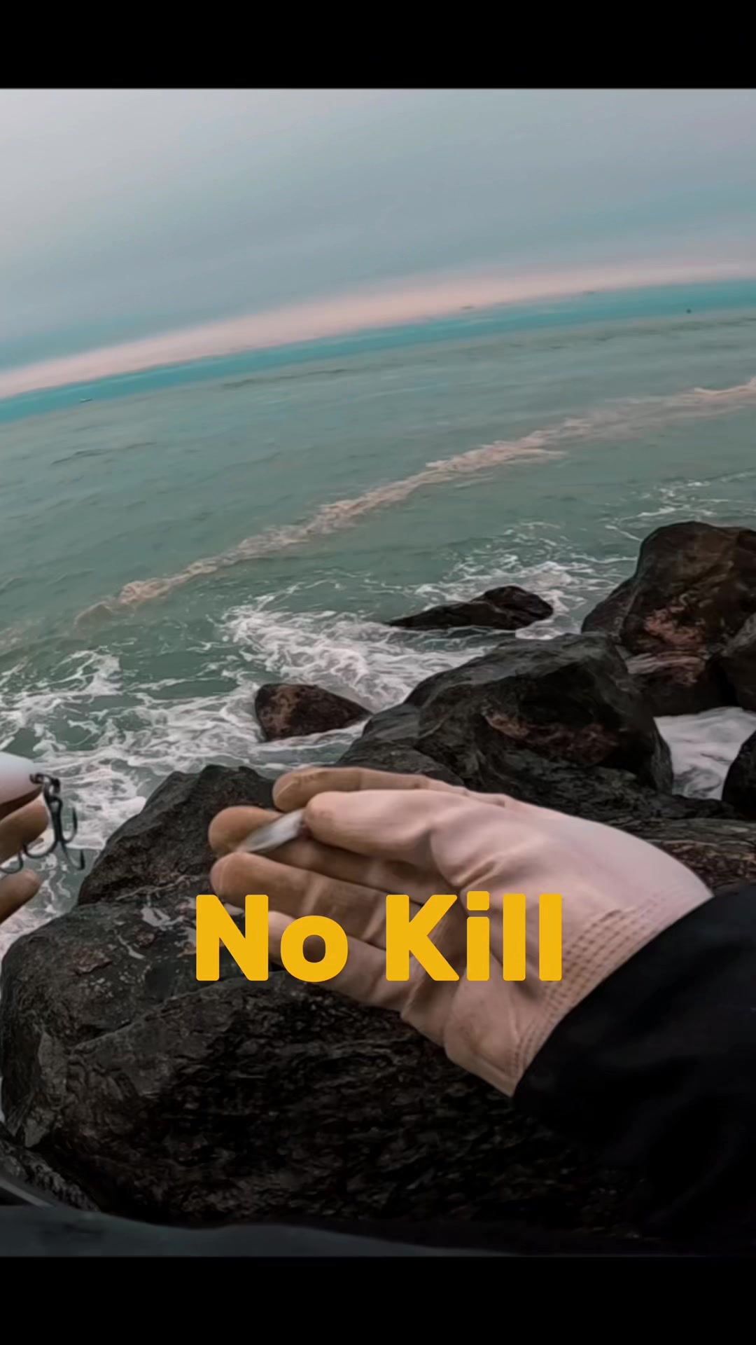 @Yuss Fishing