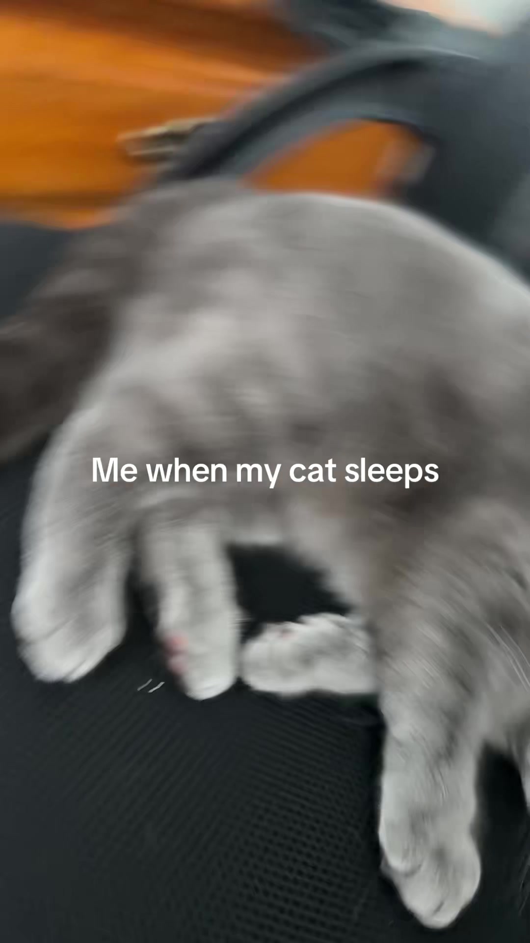 @ALINA