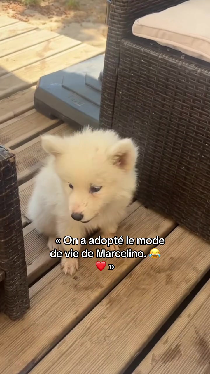 @laura_pmette
