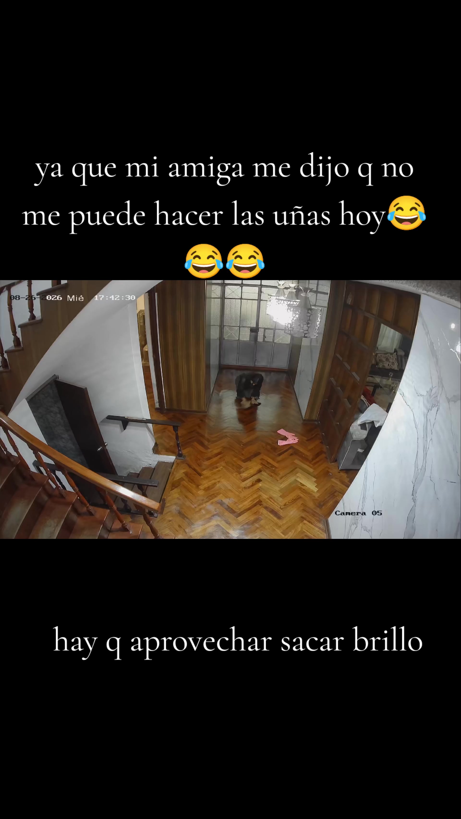 @Ricitos  🪙