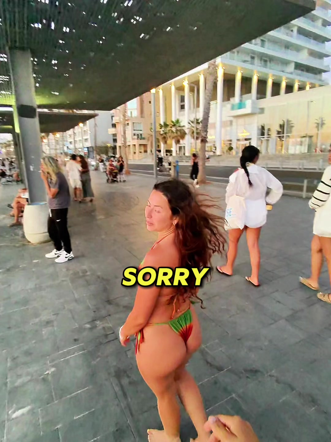 @talthetraveler