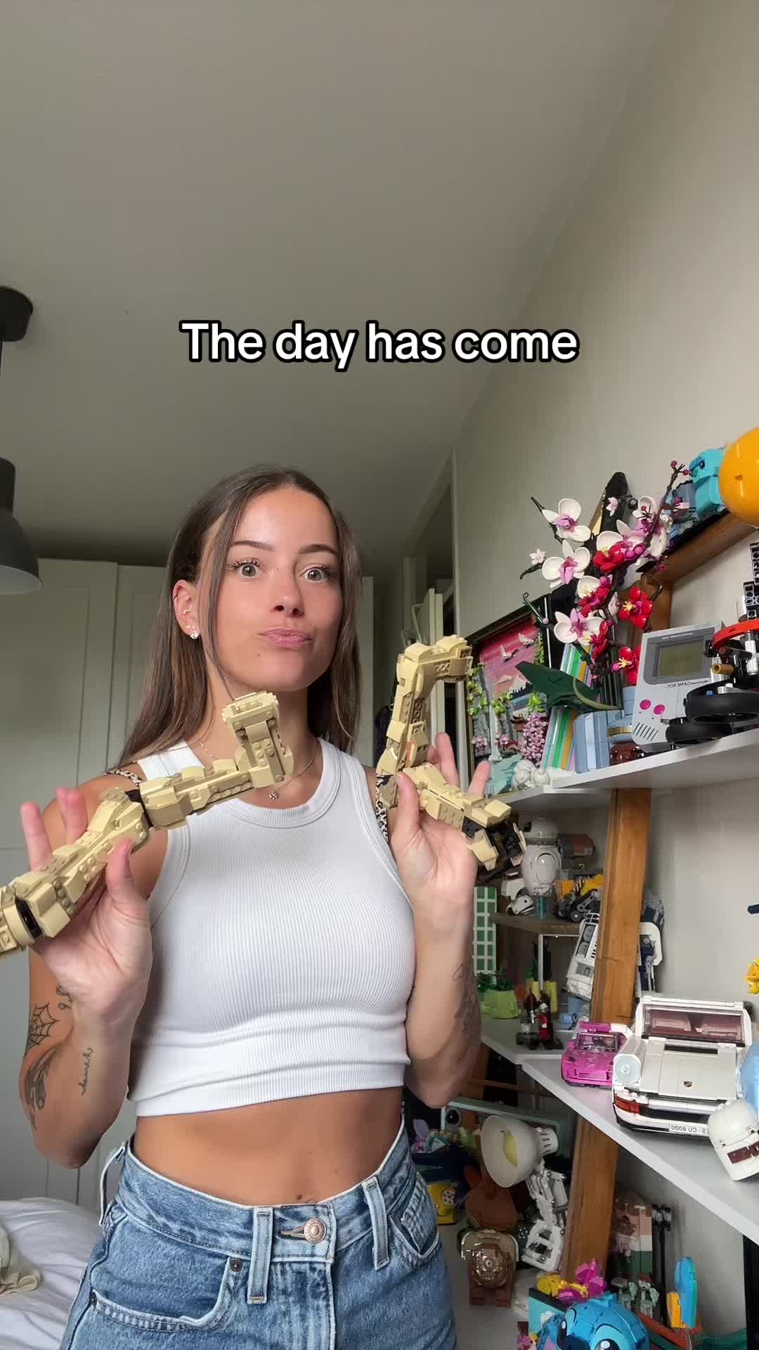 @Carly LEGO