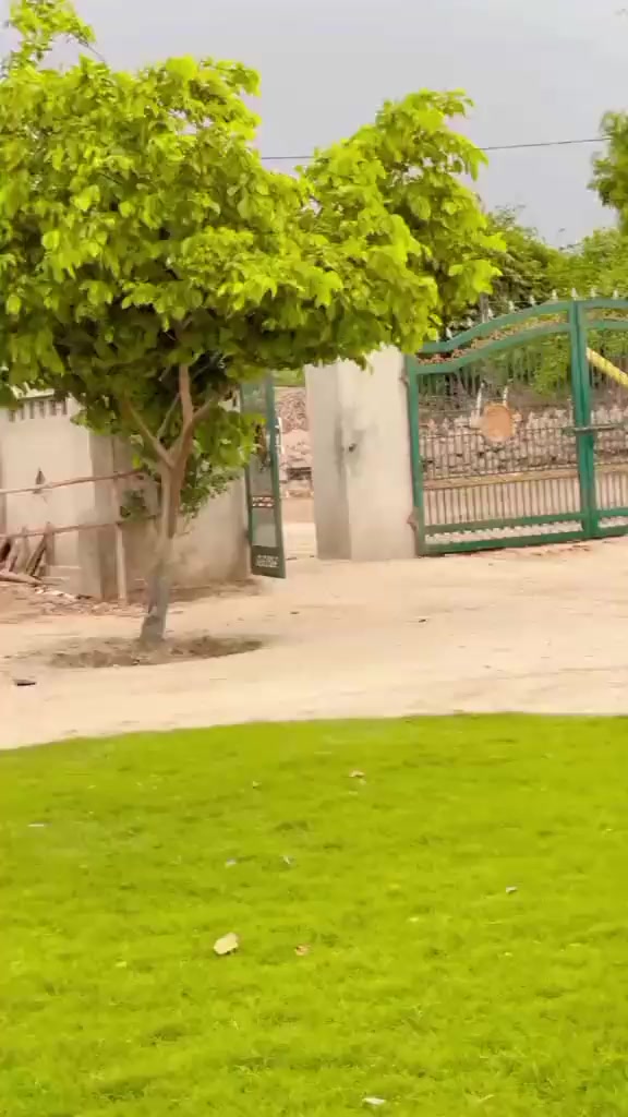 @+923497388660 Syed 🥰