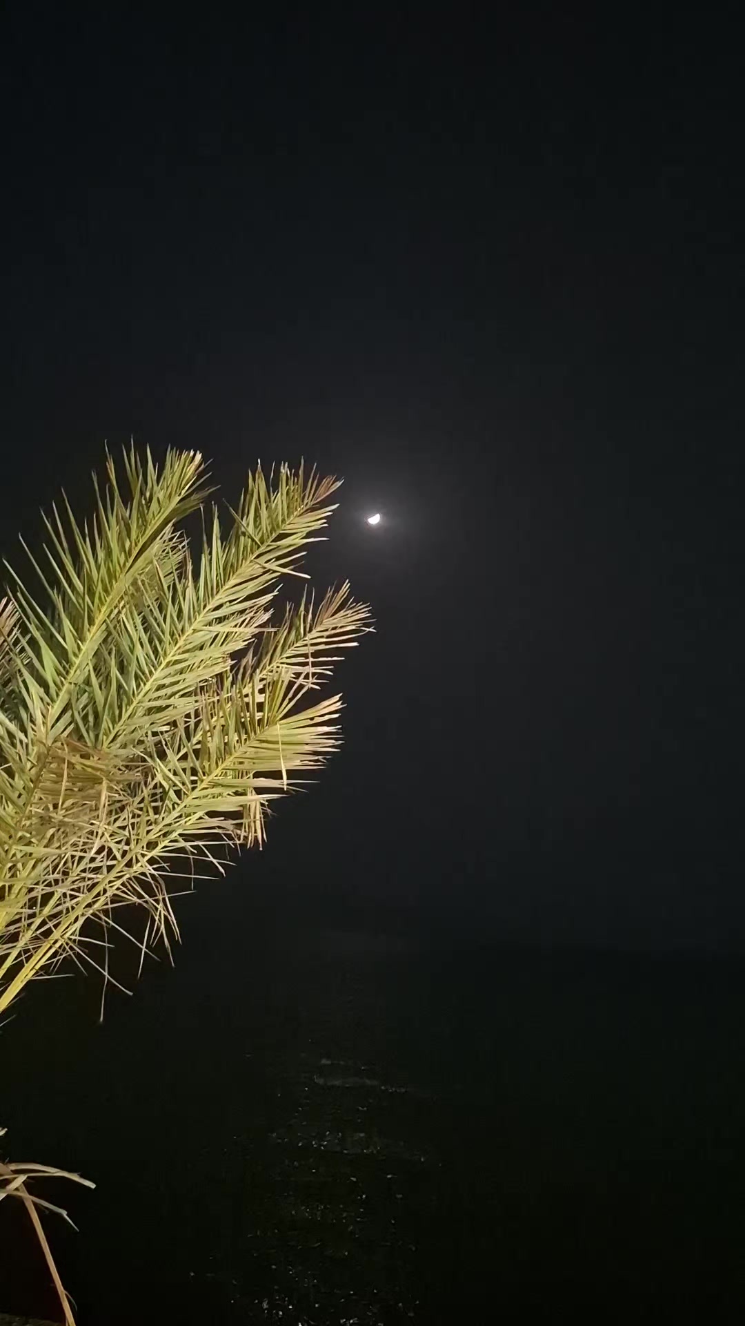 @ᥫ᭡𝓂
