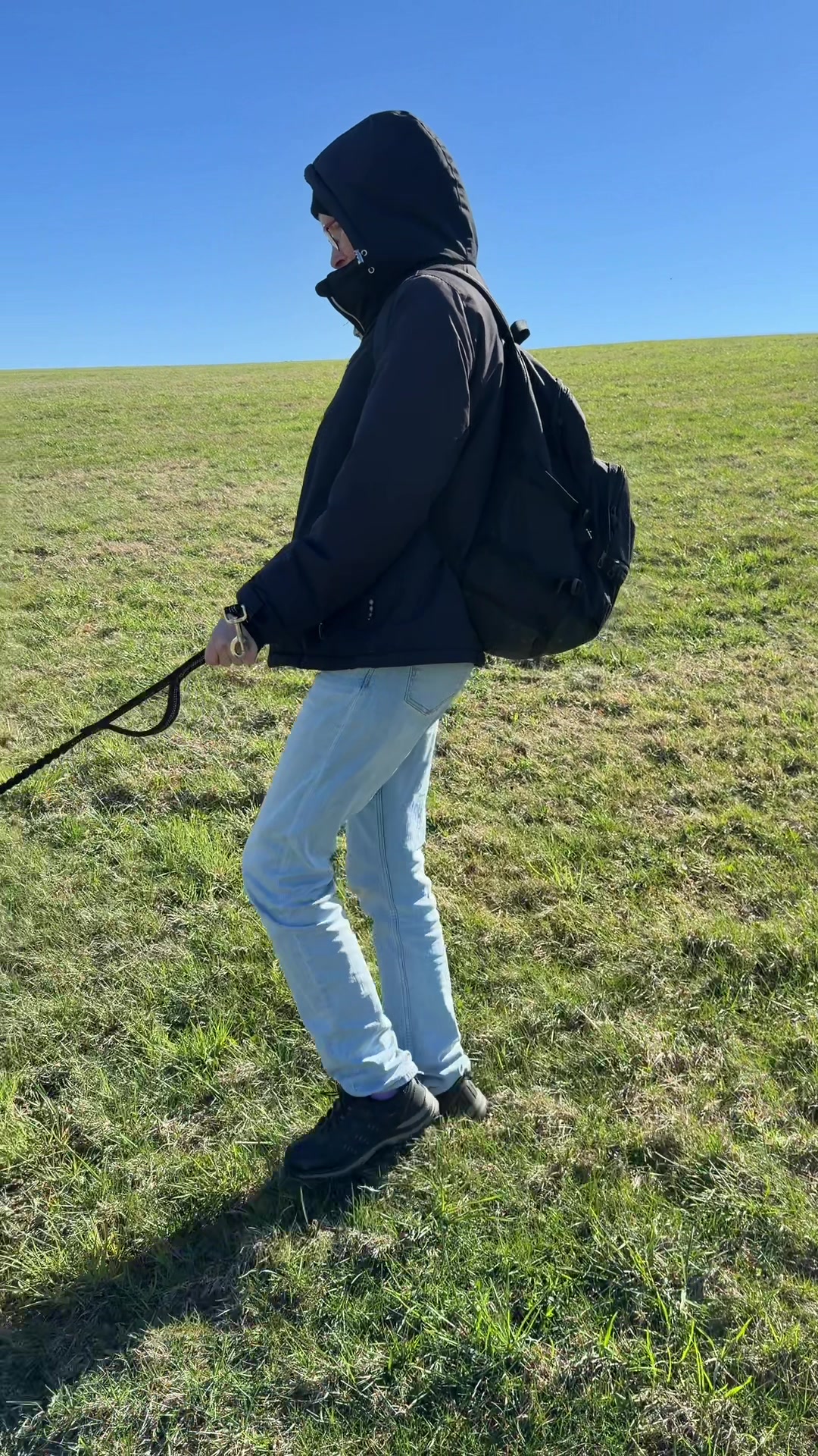 @stockies78