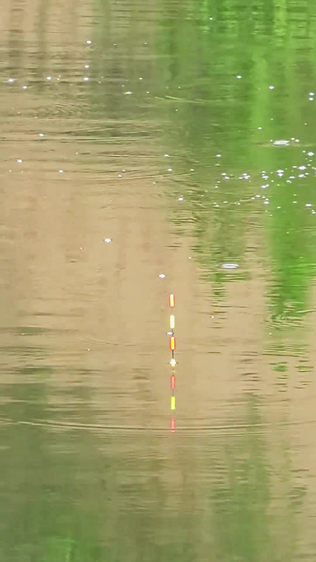 @Tụt l&agrave; vụt 🎣