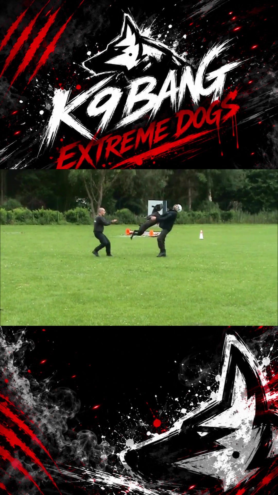 @K9 BANG