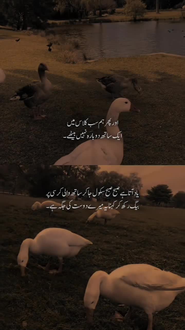 @𝙃𝙀𝙔 • 𝙎𝙐𝙉𝙉𝙔