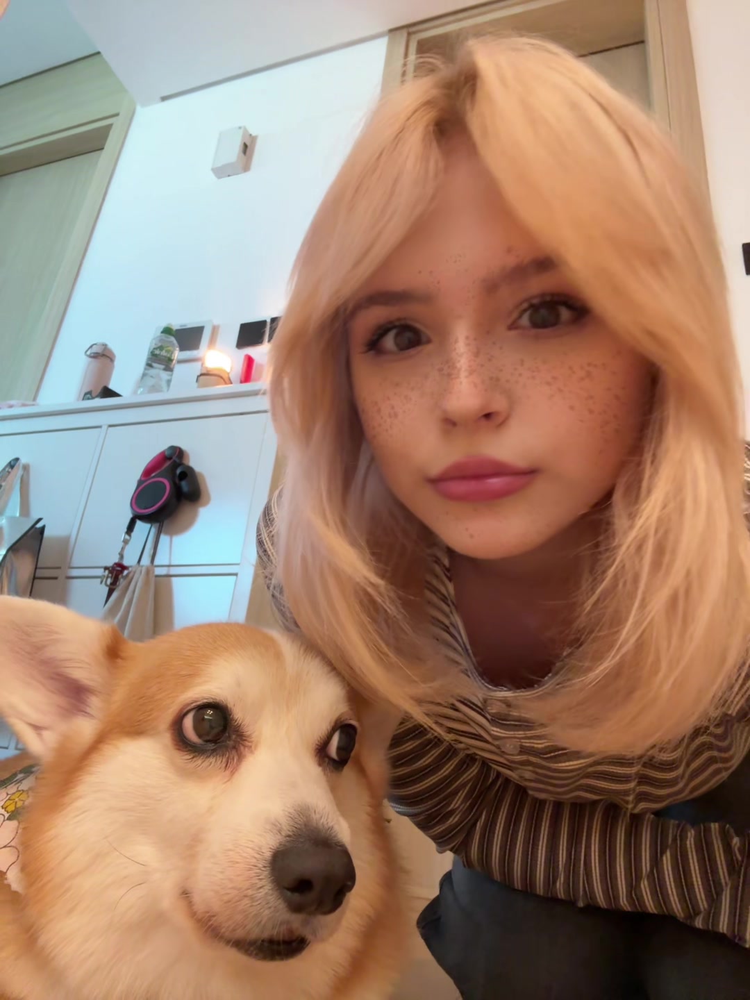 @ТГК:Bek1sh