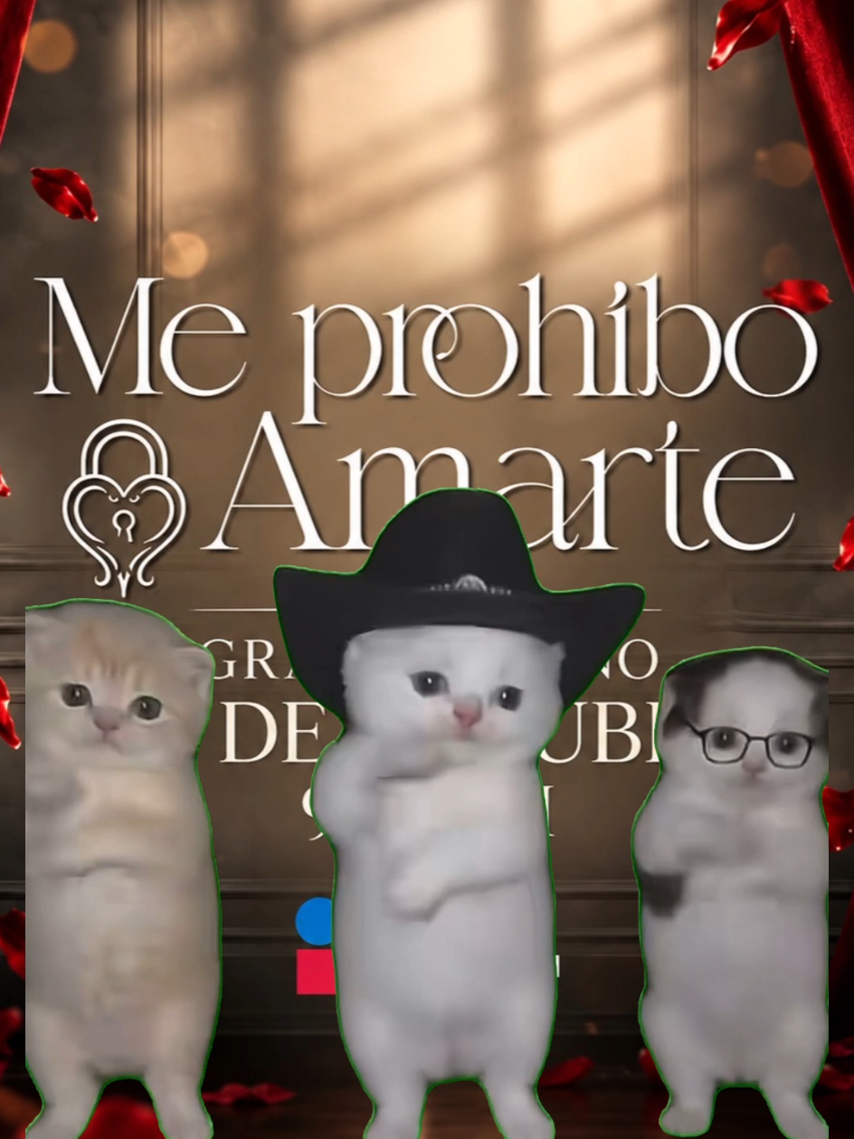 @Imagen Telenovelas