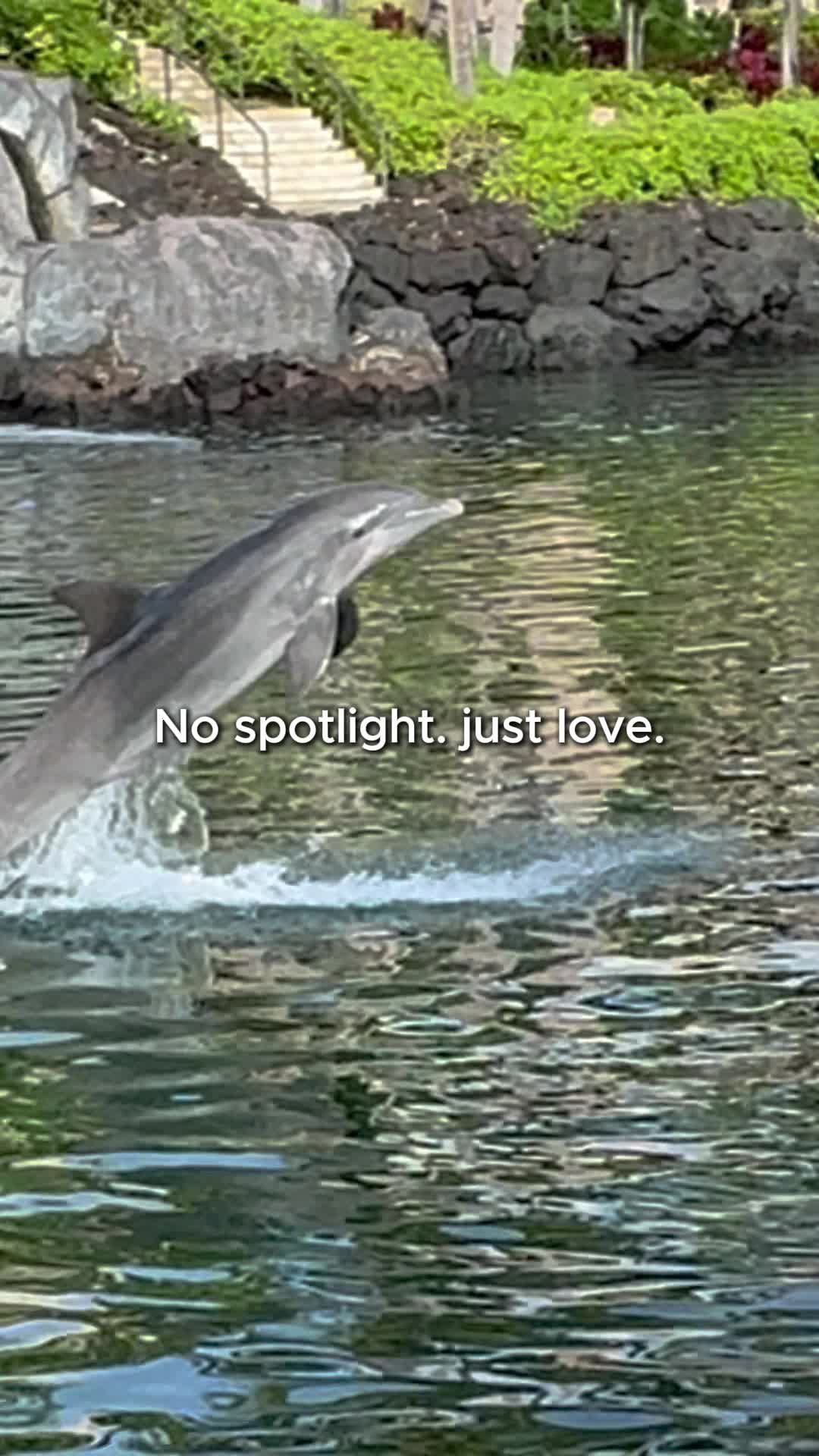 @Jason Stewart
