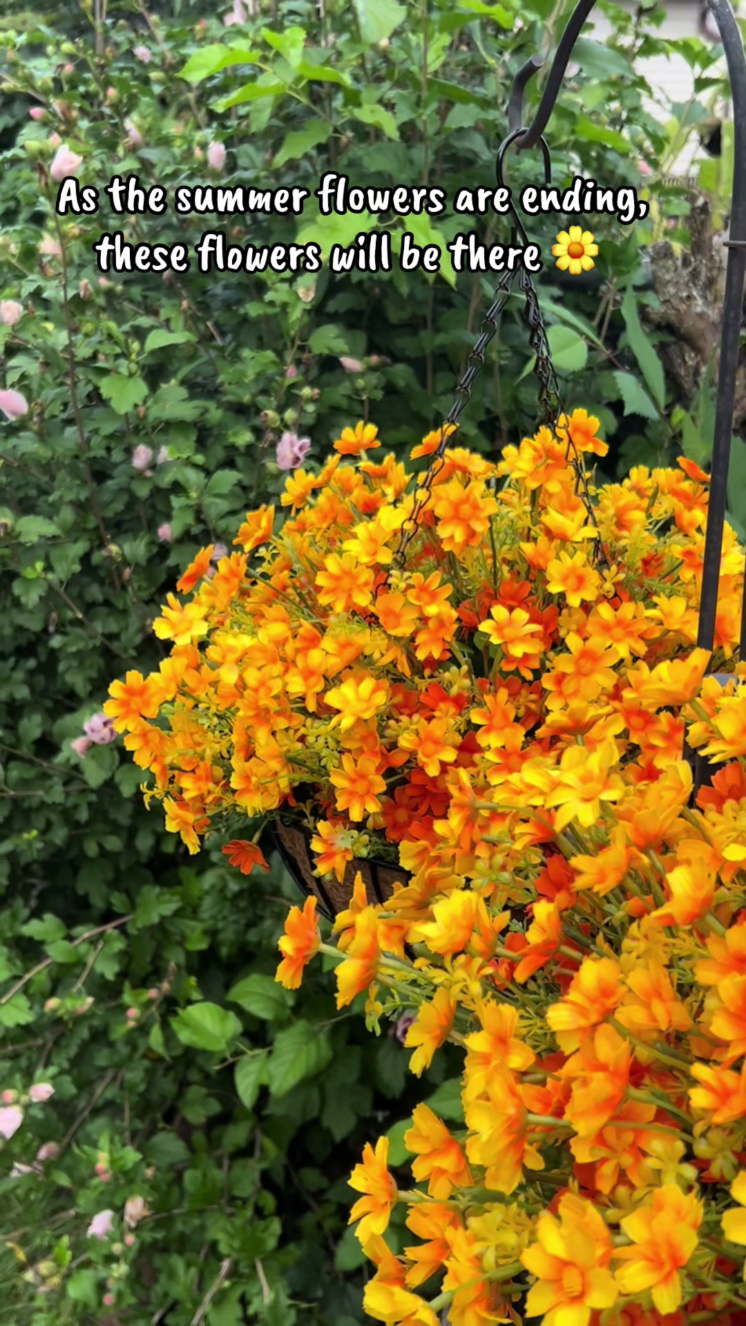 @jojo♥️autism💚garden💙dogmom