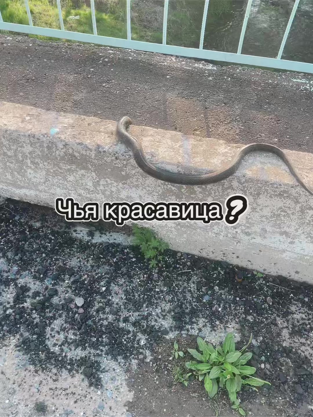 @🎀КАРИША🎀