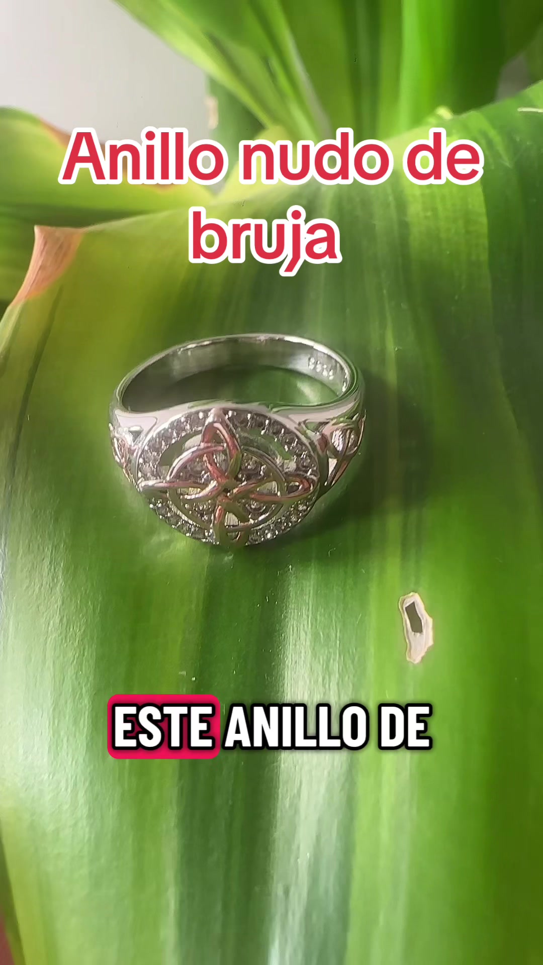 @DO&Ntilde;A REYNA
