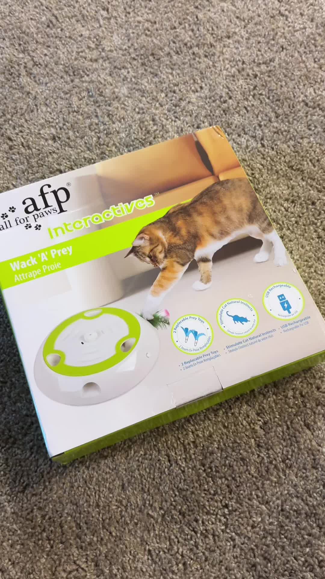 @Kitten.mama