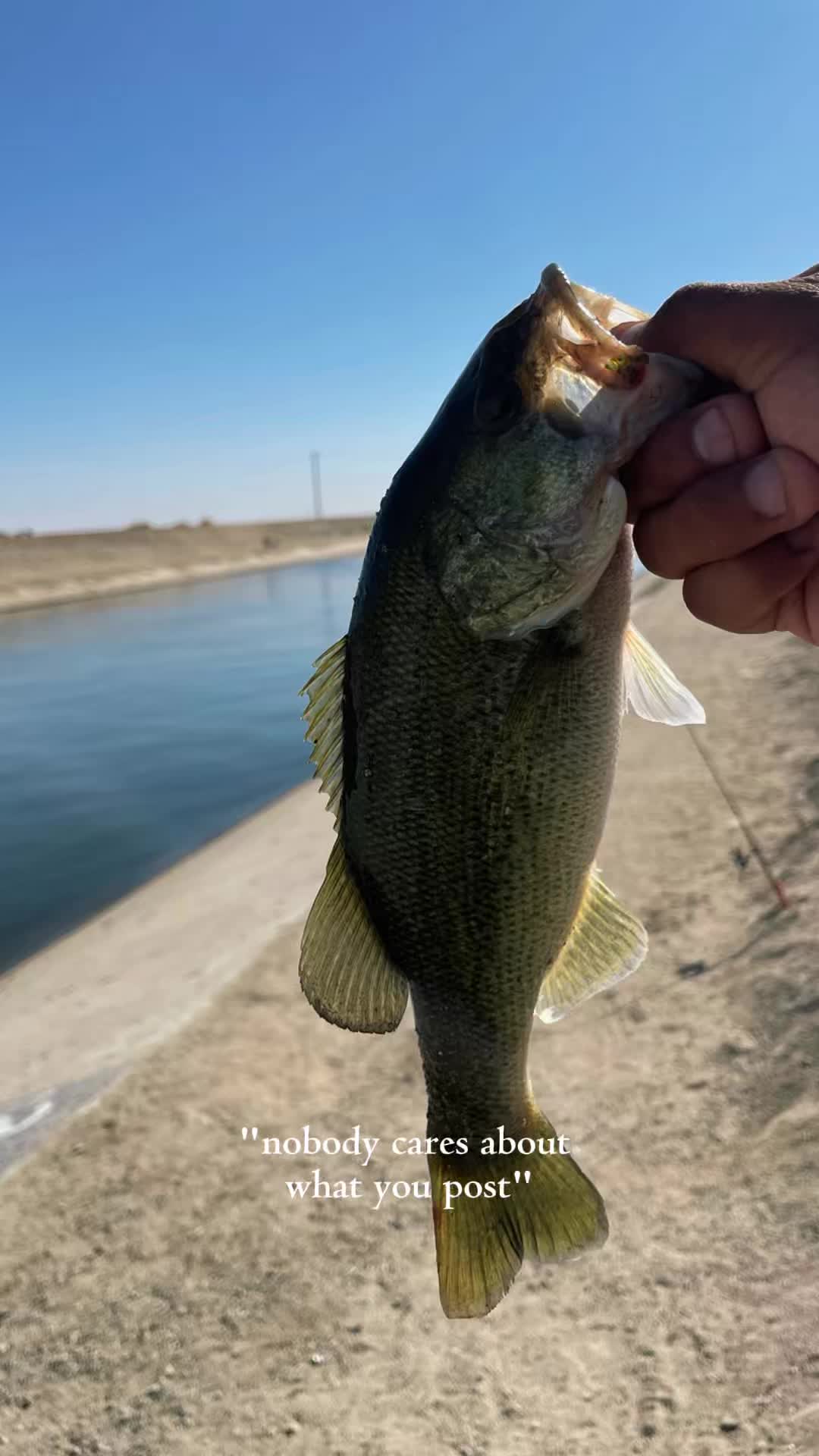 @Cast2Catch_661