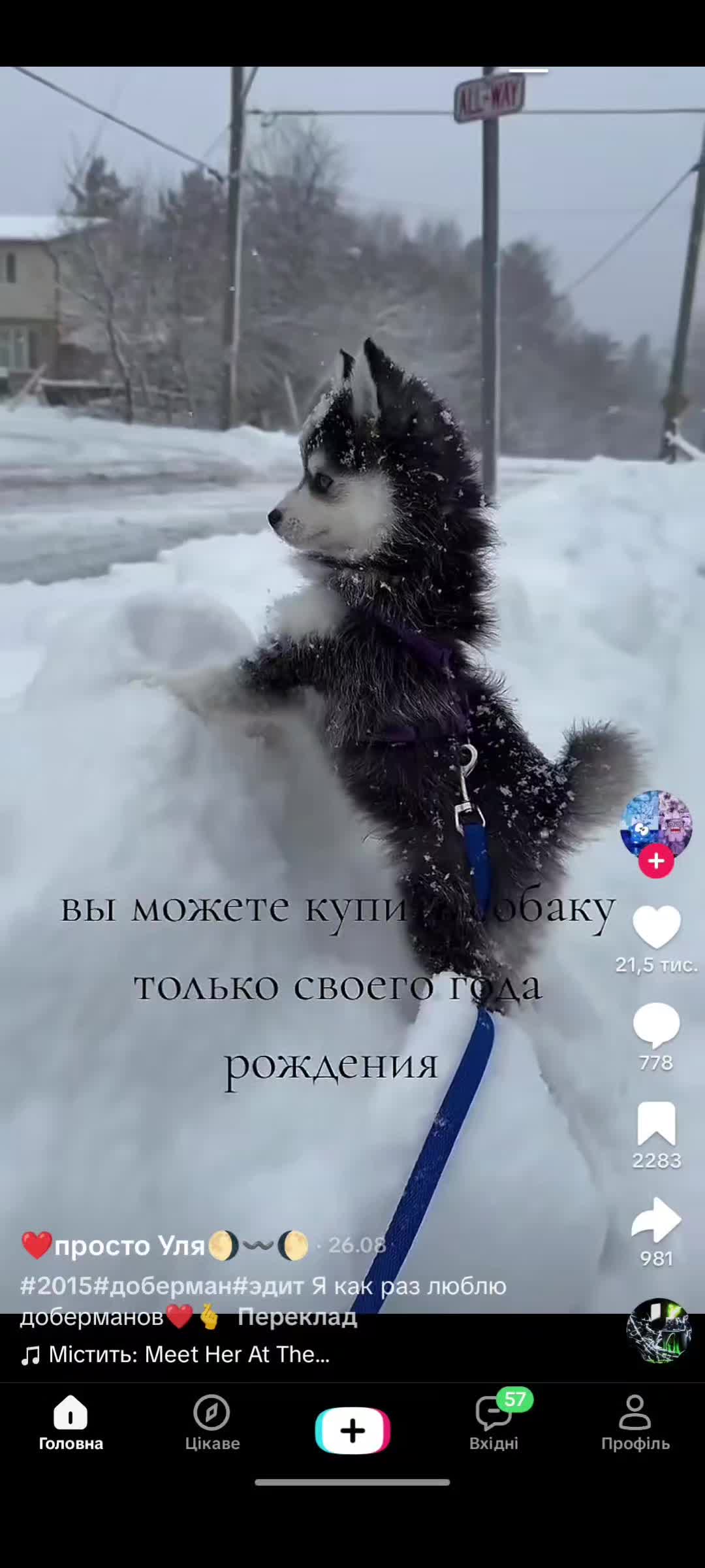 @уа 313мер