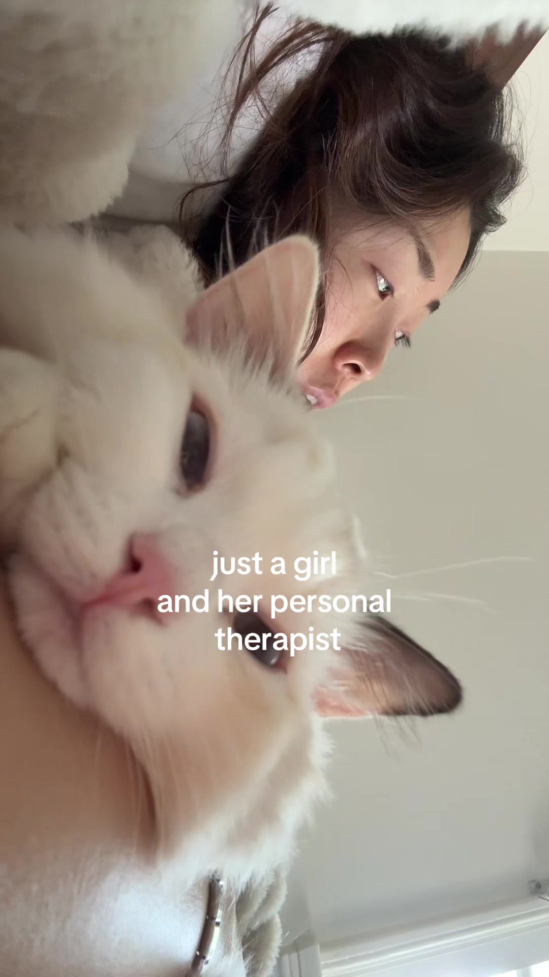 @hnh ✧