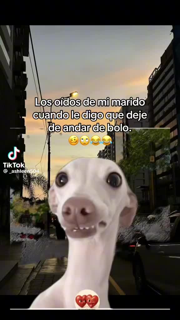 @Valeria Castr&oacute;