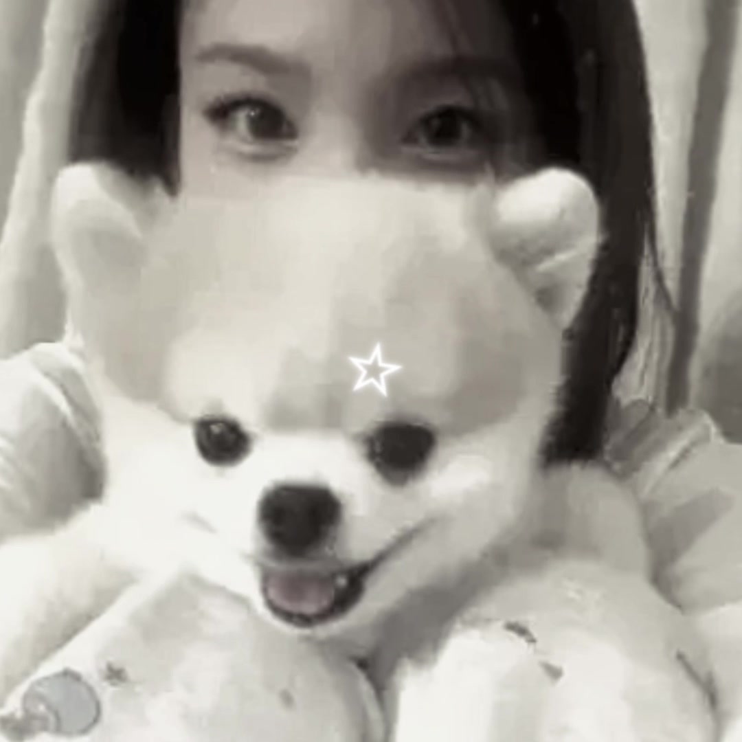 @El piojo de sana momo nayeon💙