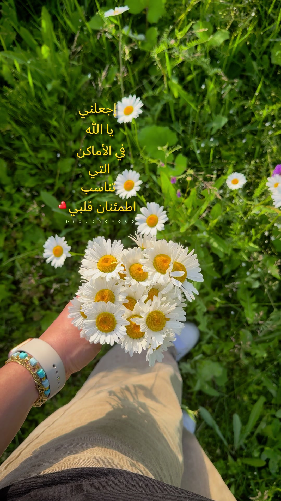@Rayan El Ayoubi