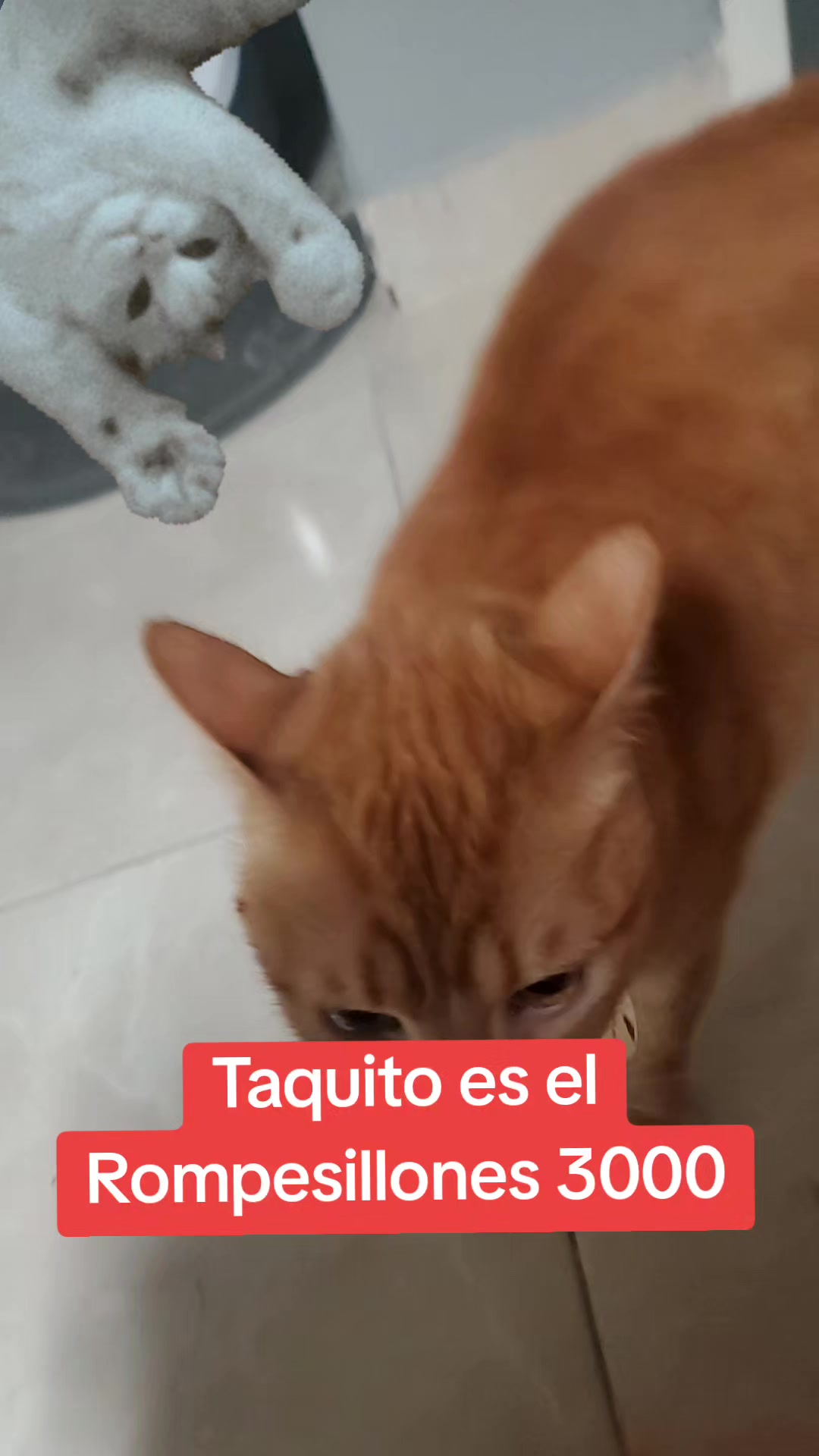 @Pame Moyers