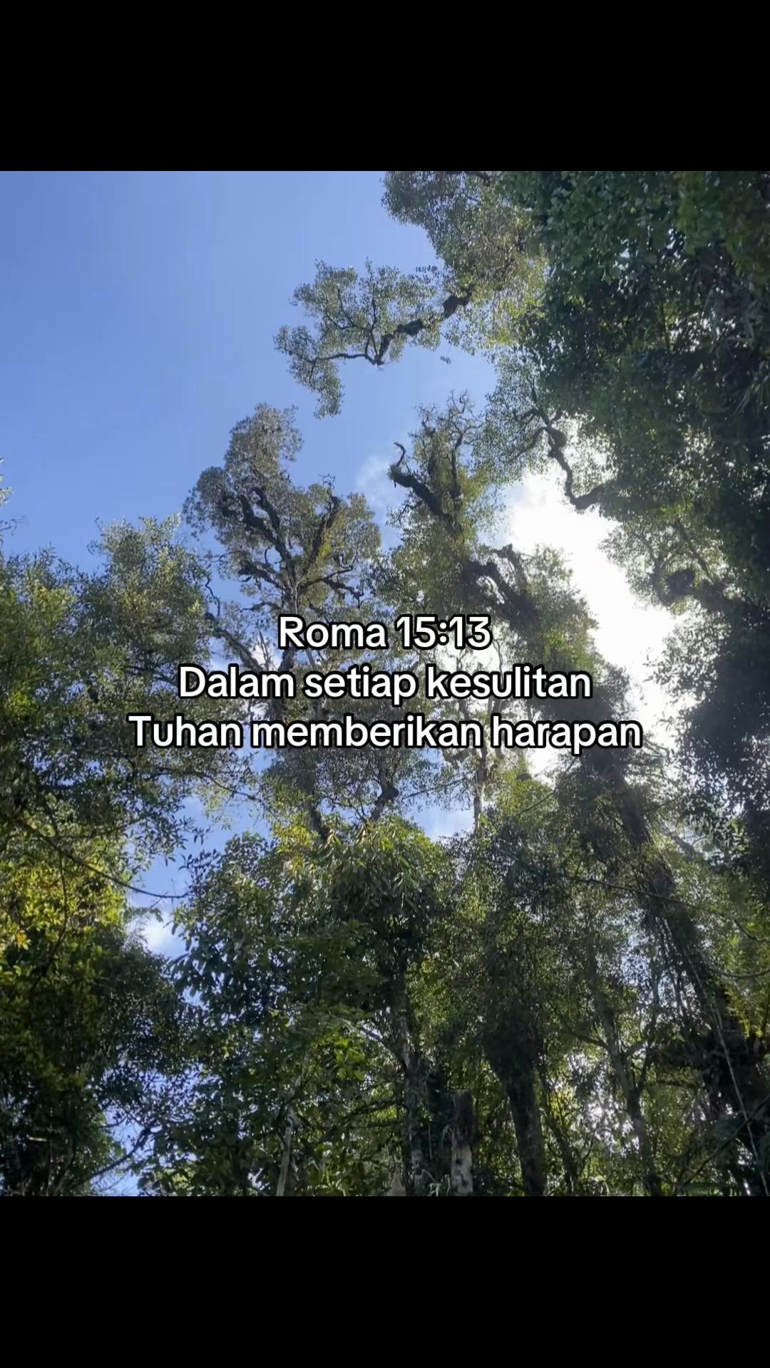 @Pro-tes-tan✝️