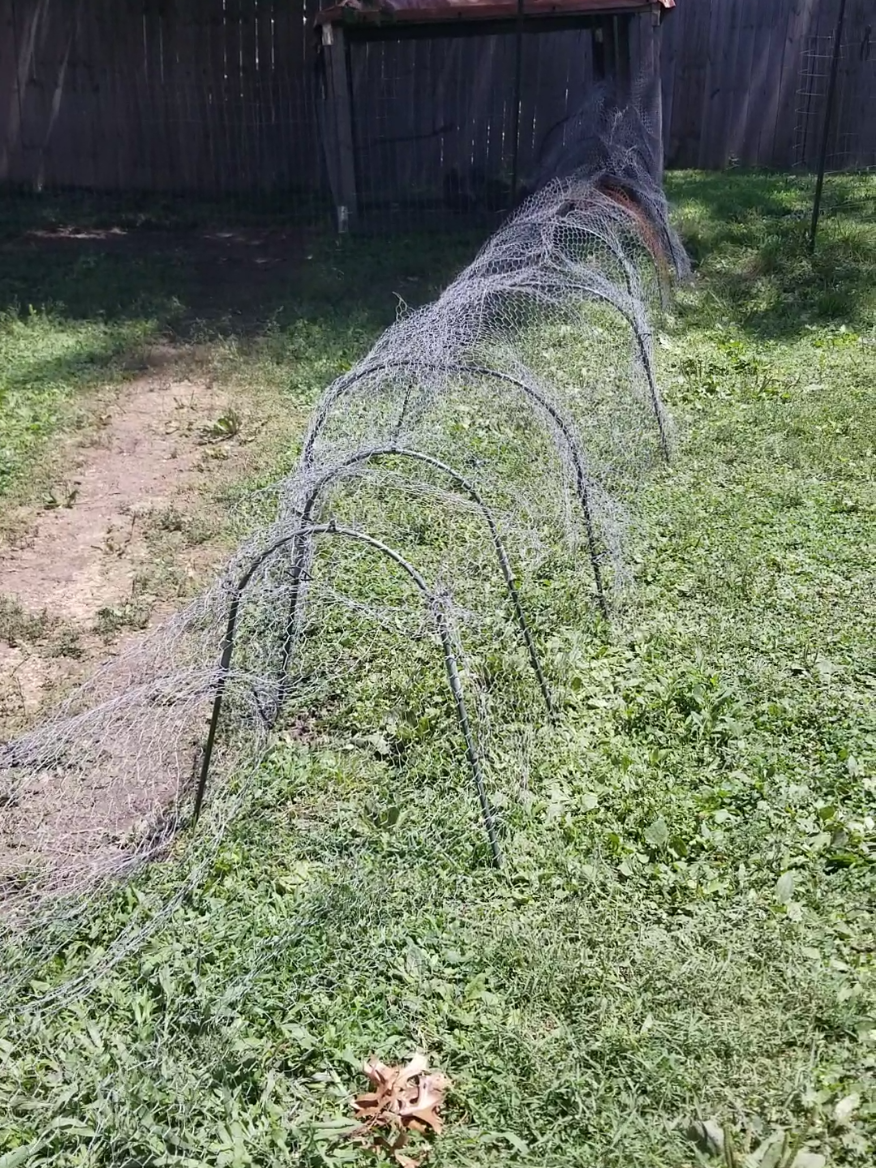 @CityChickenFarm