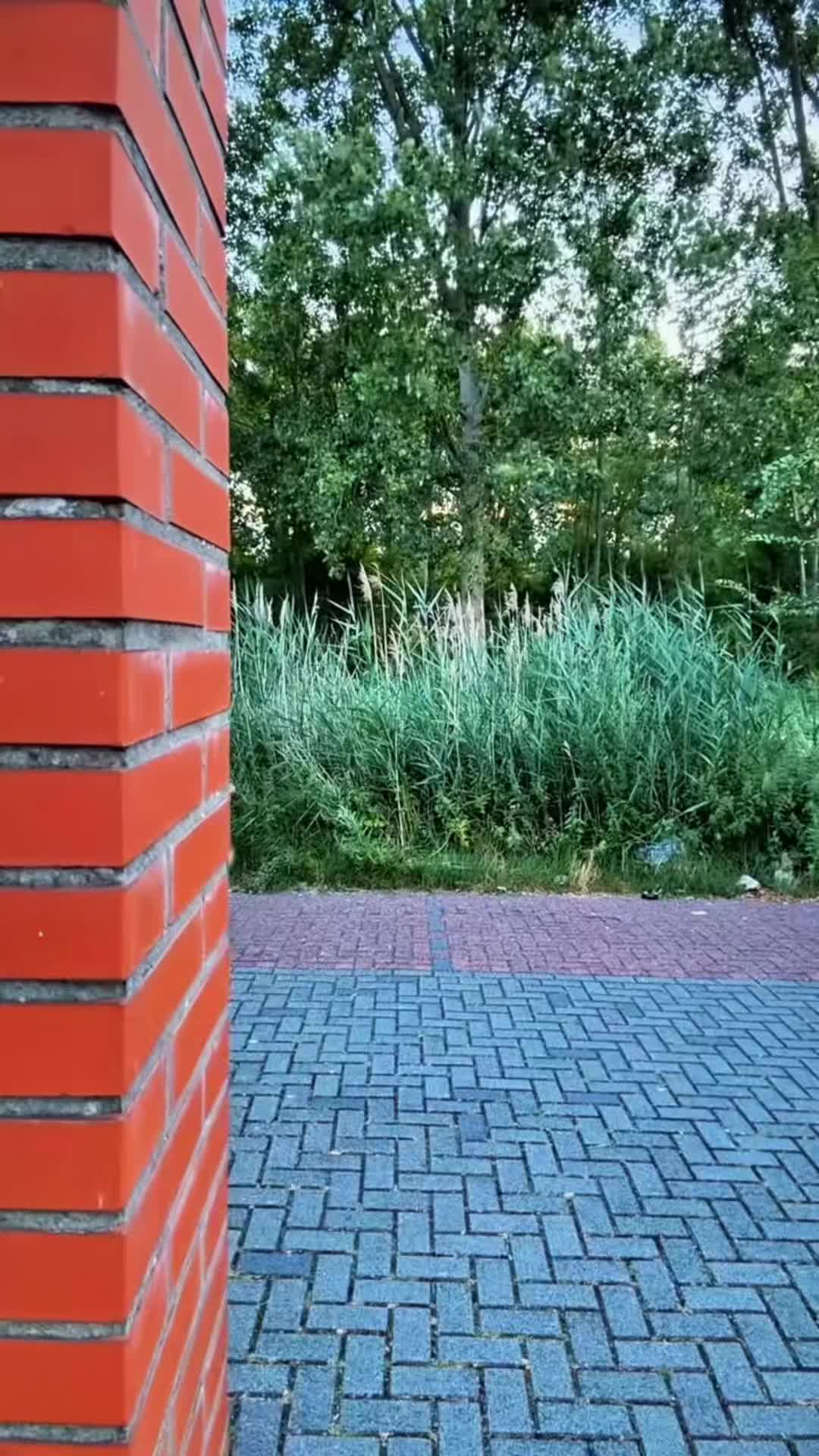 @mss__madiina<10>