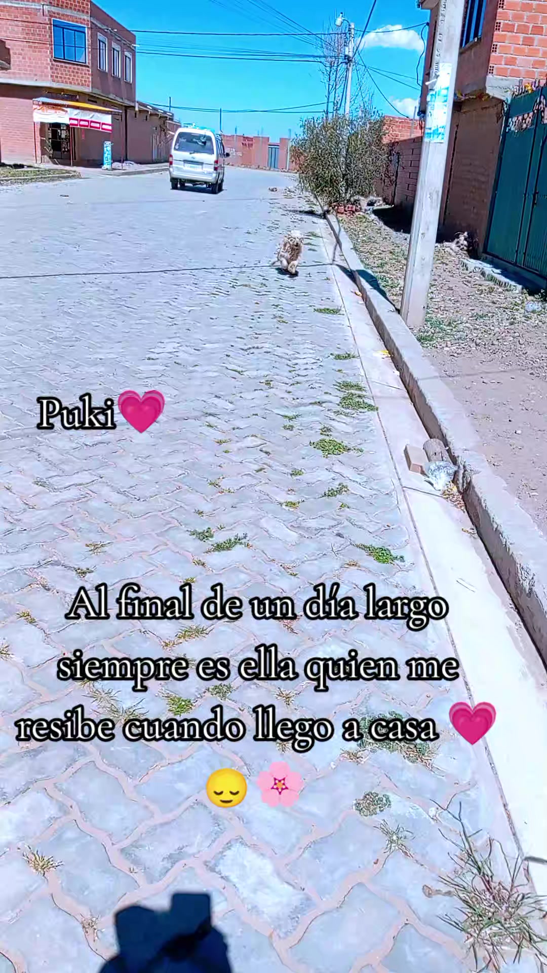 @TU CHINITA 🧸 💞🤍🪽