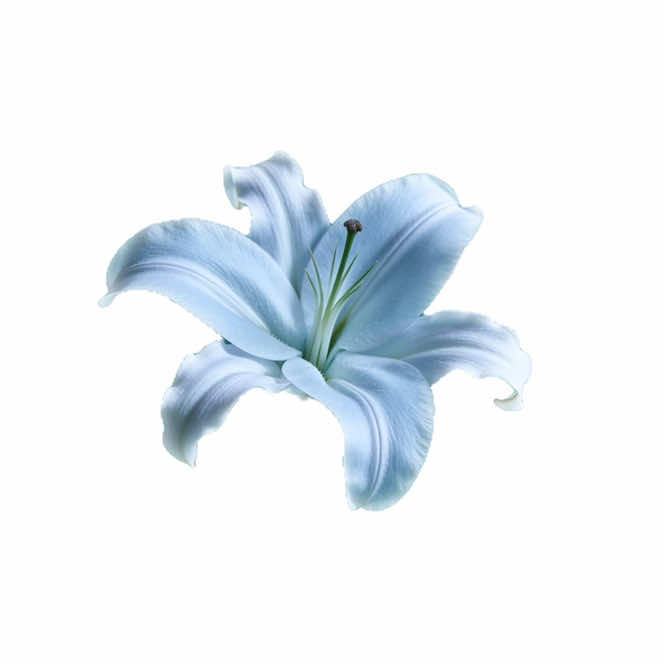 @𝐲𝐰𝐞𝐮