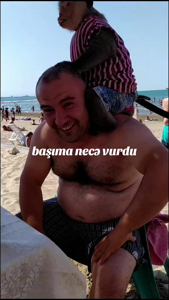 @Yuk Daşıma