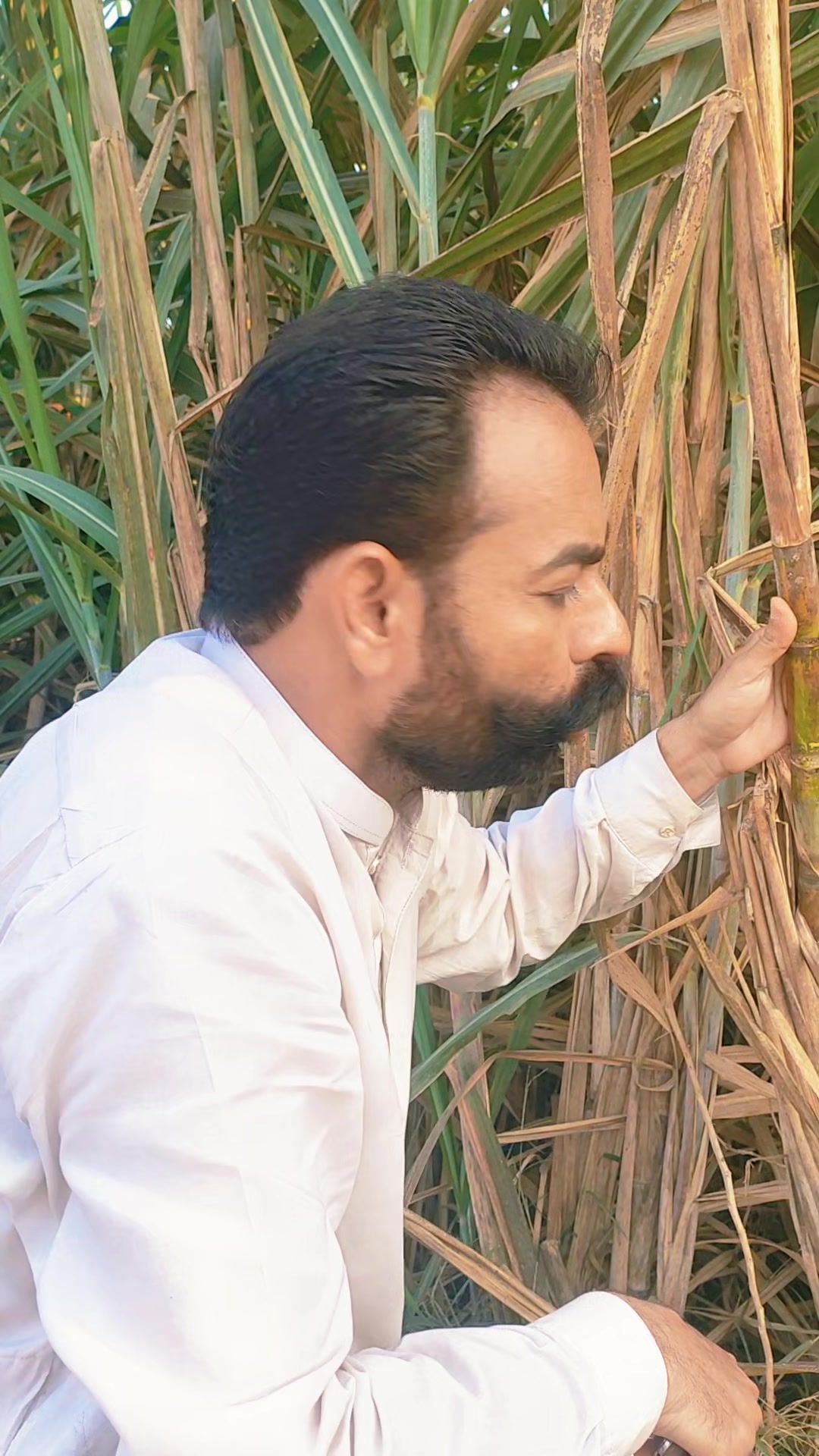 @SAMI ULLAH OFFICIAL