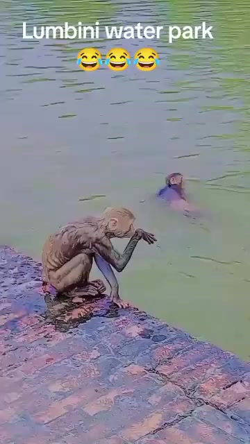 @tripathi_____ji7