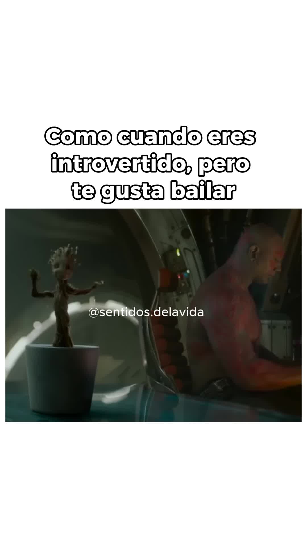 @Sentidos de la Vida