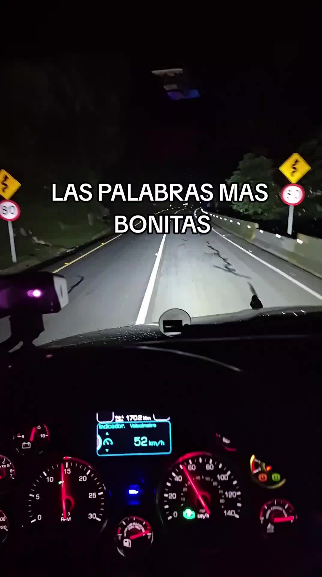 @gato