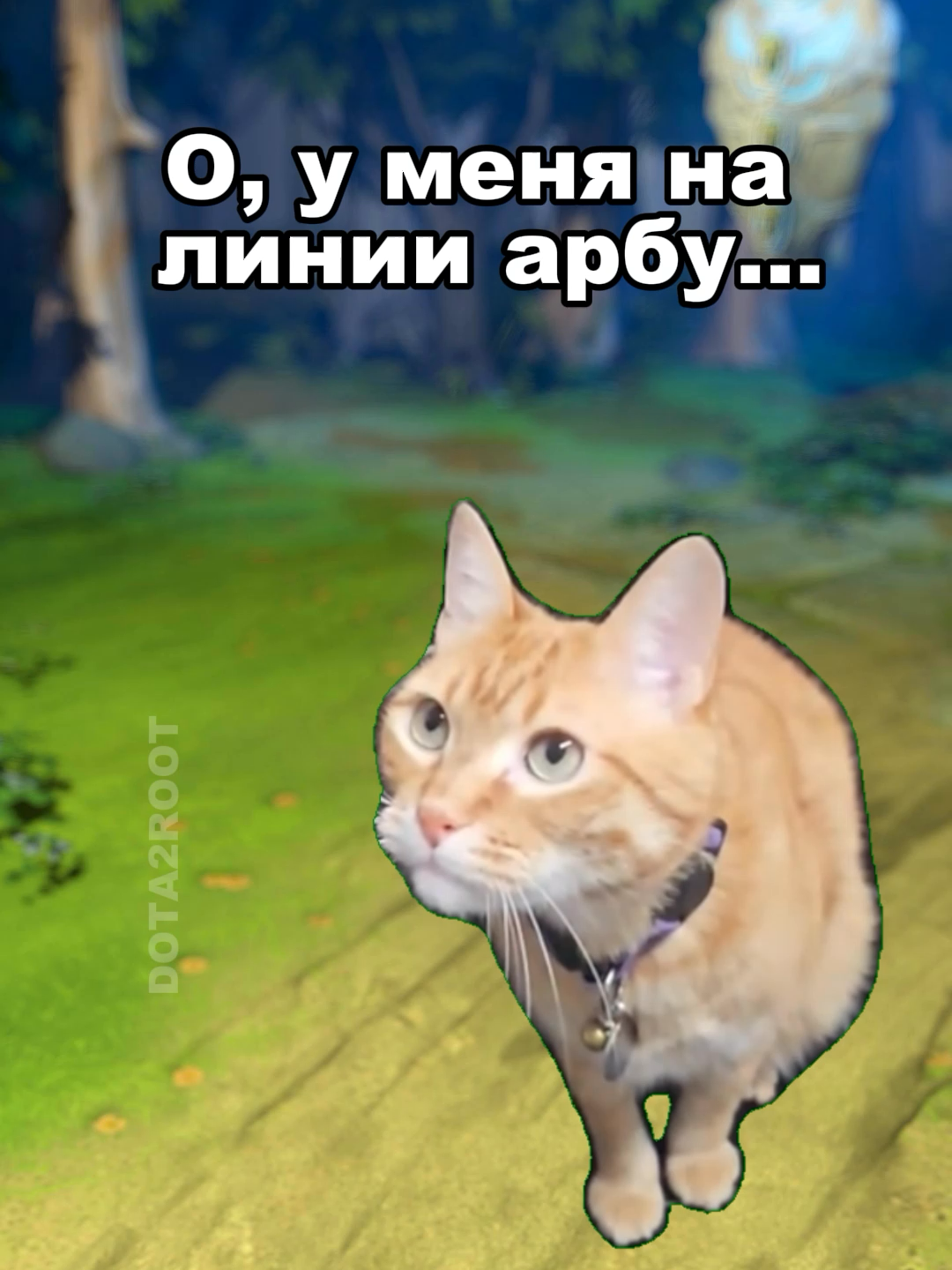 @DotaRoot