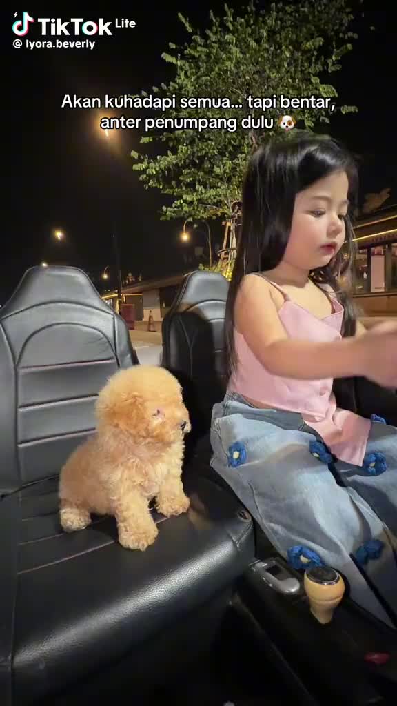@๐ฉ๐๐๐ ๐๐๐๐๐๐๐สทแตแต๐ฅ๐