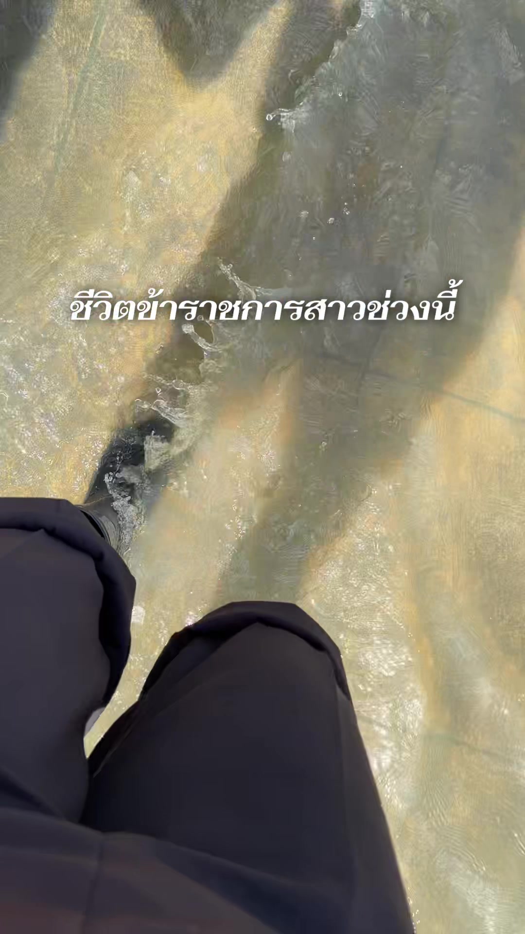 @อิงค์ชอบสีชมพู