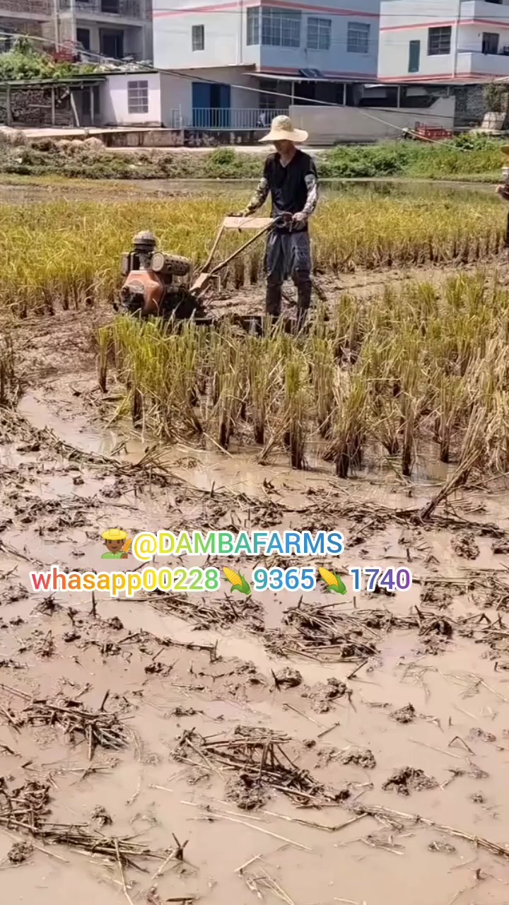 @dambafarms