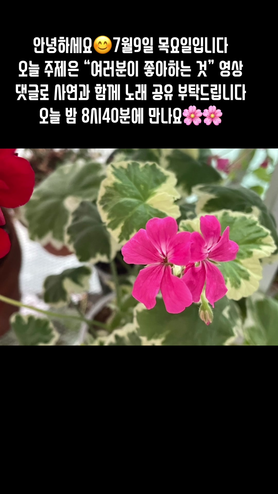 @🪴줄리애쉬