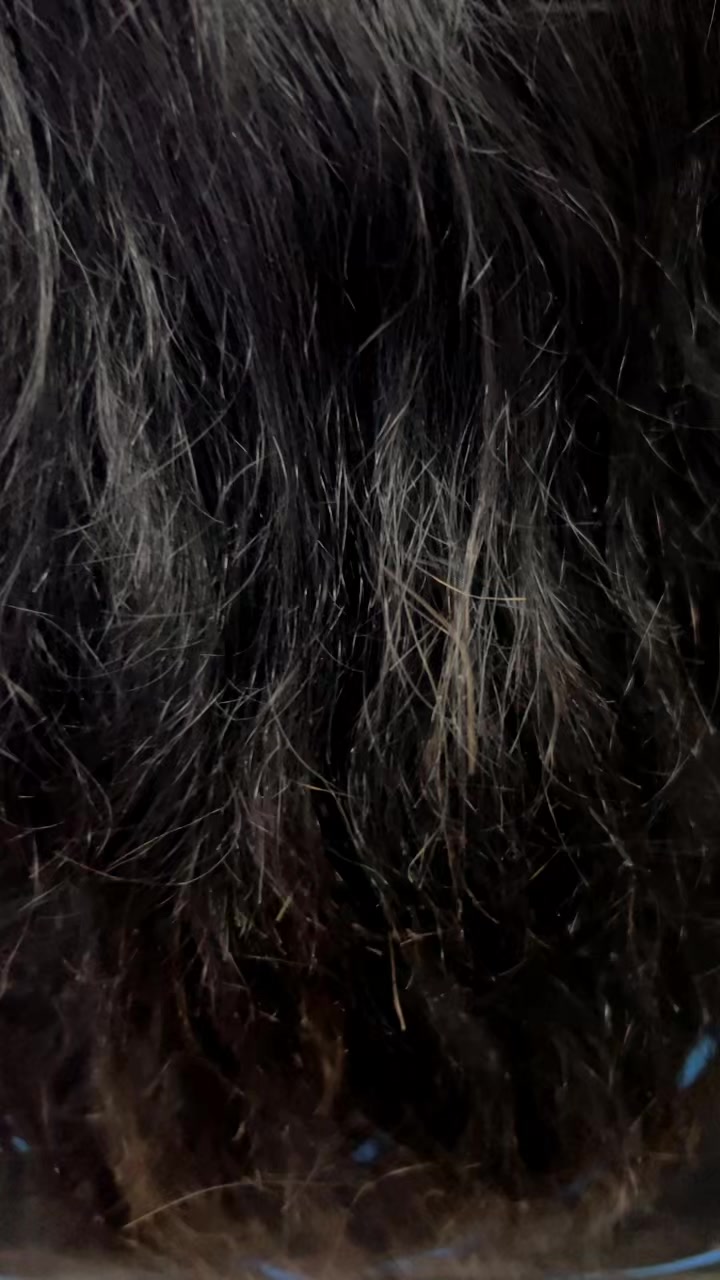 @Alishan339