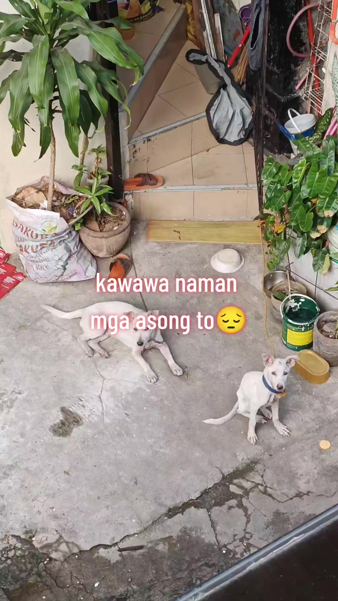 @bardbard🦮and Fam🧑&zwj;🦰🧑&zwj;🚒🧕