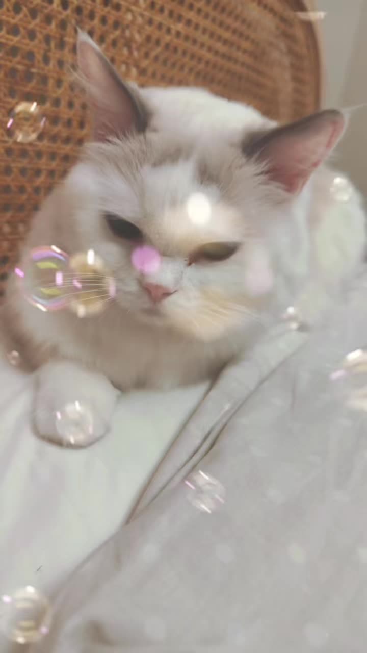 @Princess Yuna 😽