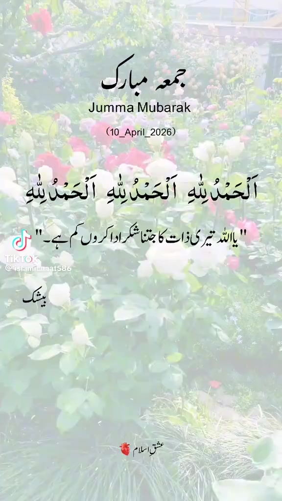 @umar tanveer