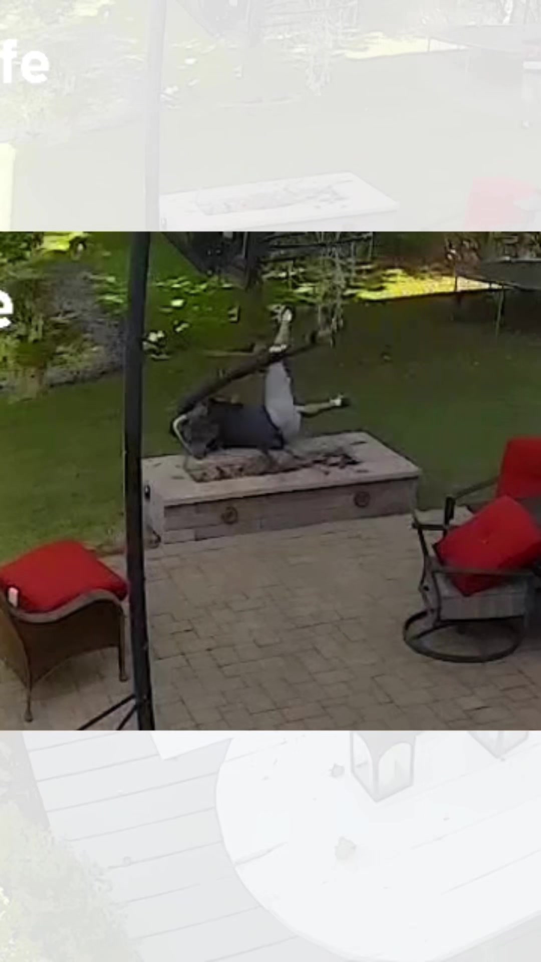 @SimpliSafe Home Security