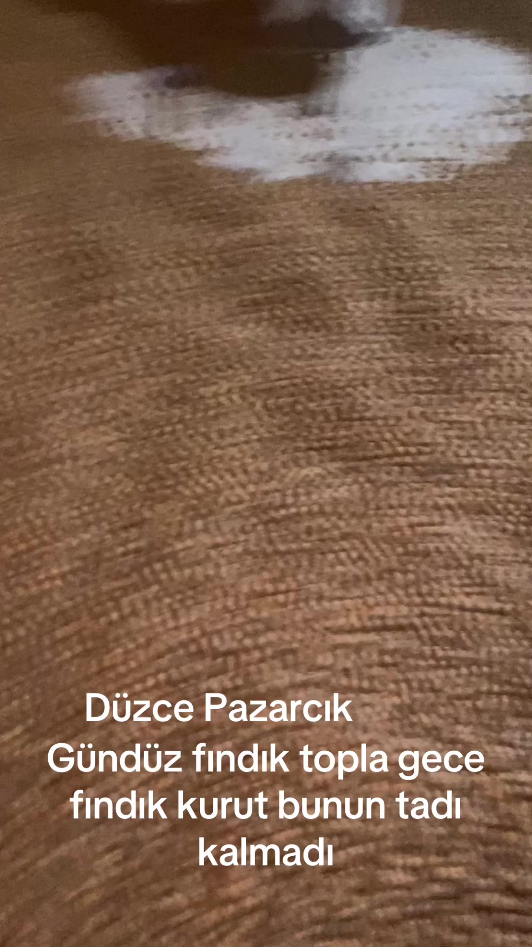 @Turan Çiçek