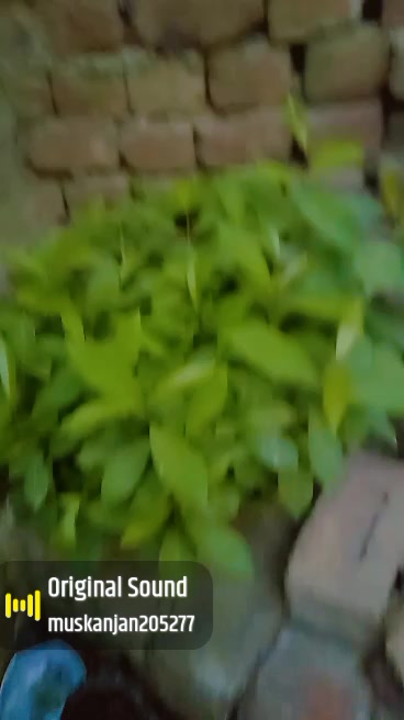 @Butt G
